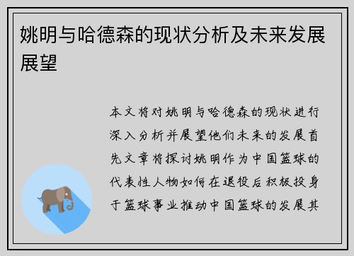 姚明与哈德森的现状分析及未来发展展望